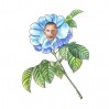 Obamanos